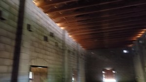 6.9K views · 777 reactions | About 80 juvenile free-tailed bats found...