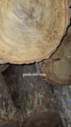 Reflexão e Papo de Mendigo: Pode Sim Man