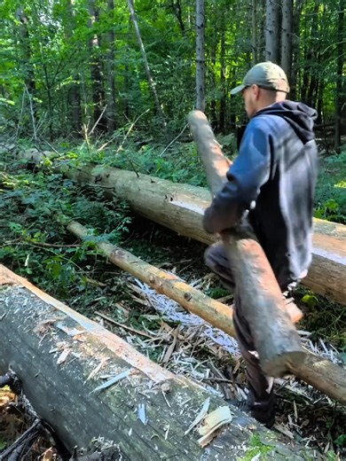 Cozy Survival Hut Built on Fallen Trees