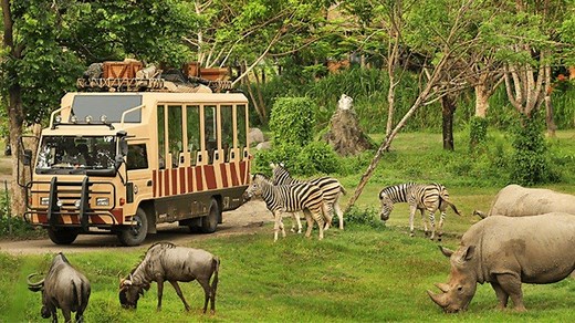 Bali Safari & Marine Park: Daya Tarik, Harga Tiket Masuk, Lokasi & Jam Buka - Tribun Travel