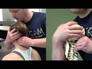 Transverse Ligament Test
