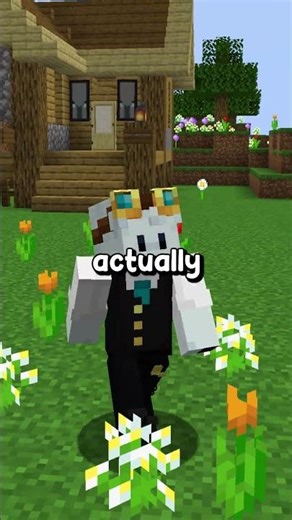 whats the best? #minecraft