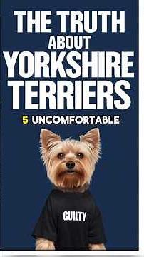 YORKSHIRE TERRIERS FACTS 🐶 Truth About Yorkies Cute Funny Personality & Top Puppy Dog Training Tips!