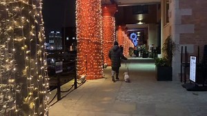 241K views · 3.4K reactions | Head down to the Royal Albert Dock to experience the new, magical, Light Walk which includes nearly three million lights  | Liverpool Echo News | Facebook