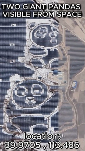 Giant Pandas Visible from Space. Only in China Power Plant #amazingearth #googleearth #panda #pandas