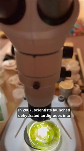 🚀 Scientists Launched This Animal Into Space — It Survived