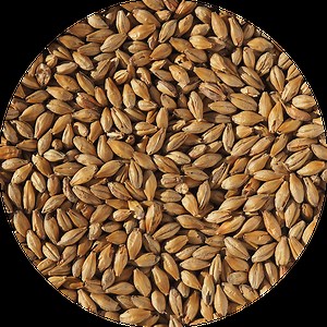 Dark Munich Malt | A Rich Dark Malt For Brewing From Crisp