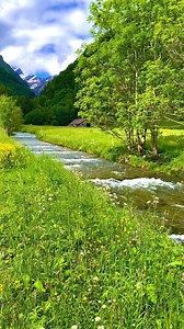 74K views · 12K reactions | SWISS TRIP #syifainswitzerland #inlovewithswitzerland #ineedswitzerland #iloveswitzerland #visitswiss #visitswitzerland #exploreswiss #exploreswitzerland #İsviçre #suica #suiza #suisse #svizerra #schweiz #swiss #switzerland #switzerland #swiss #swissprivatetour #privatetourswiss #privatetourswitzerland #myswitzerland #switzerlandguide #bestofswitzerland #alps #swissalps | syifa_in_switzerland | Facebook