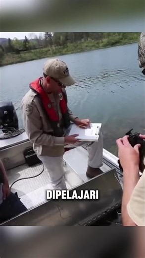 Menagkap Ikan Menggunakan Teknik Electrofishing