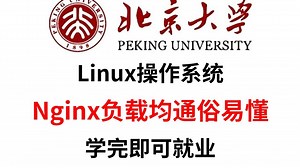 Linux操作系统从基础入门到精通必学教程！Nginx负载均通俗易懂，2025最新版，学完即可就业！