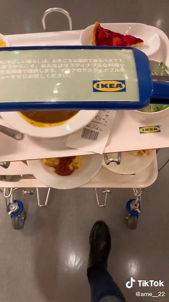 IKEA Shopping Vlog | Tachikawa Gourmet Experience