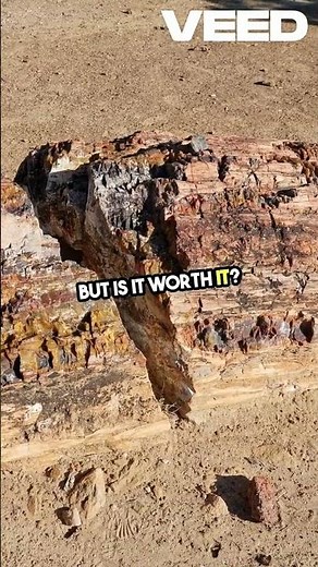 I Reviewed the MOST EXPENSIVE Keyboards Ever!