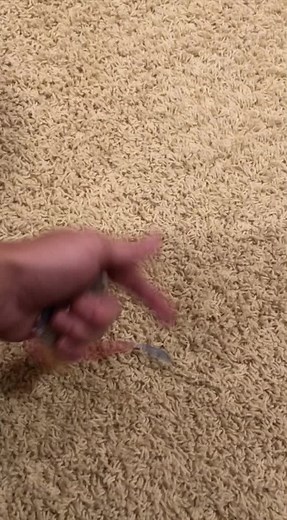 Exploring the Cool Stretchy Toy in Action