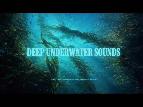 1 Hour Calm Underwater Ambience — Soft Ocean Depth Sounds for Sleep & Relaxation