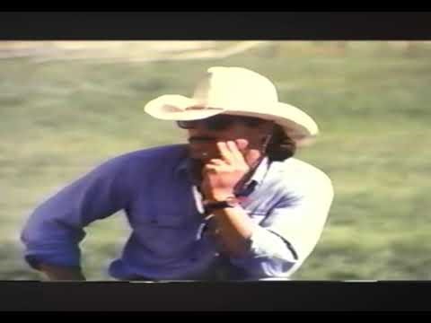 Ray Hunt Trailer Loading a Horse