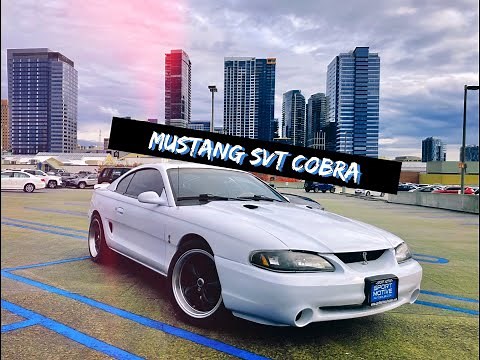 1996 Mustang SVT Cobra SN95 Review and Test Drive