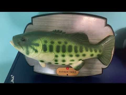 Big Mouth Rainbow Trout Demo (take me to the river by Al Green)