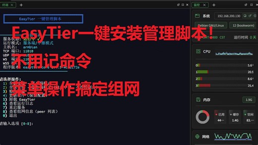 EasyTier一键安装管理脚本！不用记命令，菜单操作搞定组网