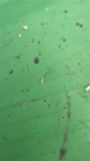 John Deere love | John Deere Tractors