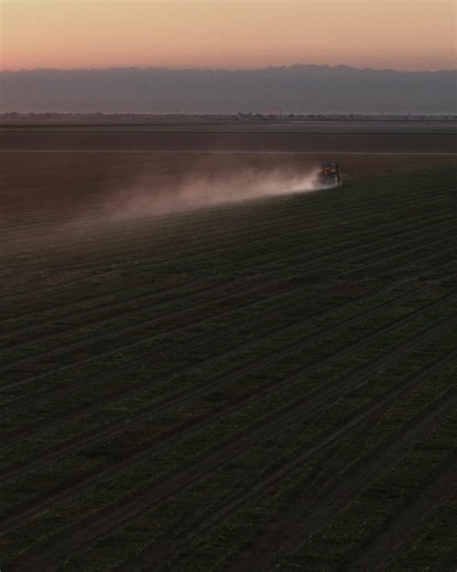 Amy’s started in a family kitchen and kicked off an organic revolution. | Amy's Kitchen