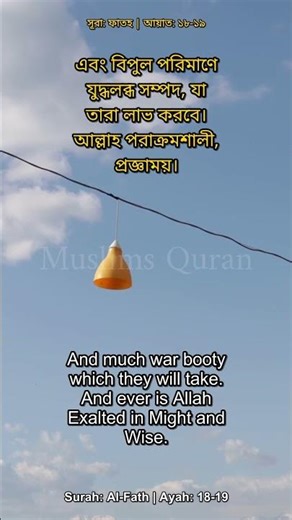 Surah Al-Fath | Ayah 18-19 | Al-Husary #Shorts