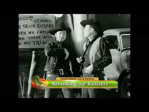 Cattle Rustling - America's Heartland