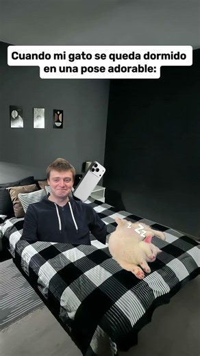 Cuando mi gato se queda dormido en una pose adorable: #parati #memes #humor #gato