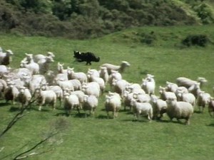 Country calendar | Creative life | Te Ara Encyclopedia of New Zealand