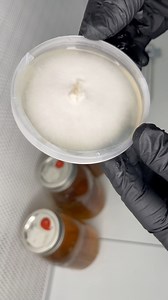 31K views · 601 reactions | Growing Mushroom Mycelium in Honey Water #reelsfb #fbreels #growyourown #mushrooms #fungi #mycelium #hobby #foraging #nature #gardening #AGAR #scienceexperiment #microbiologist #growfood #propagation #replication #biology #sciencechallenge #wildmushrooms | Spore n’ Sprout | Facebook