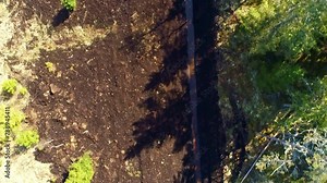 Forest pathway aerial drop down view nature landscape terrain patch