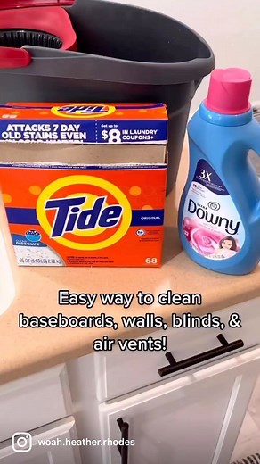 Heather Rhodes | ✨Follow me for more cleaning tips, hacks, motivation, & chaos! Just cleaned my walls & baseboards and forgot to record, what is life?... | Instagram