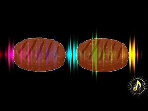Sizzling Burgers Sound Effect