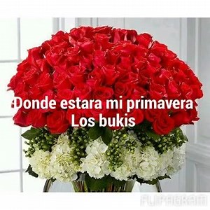 26K views · 643 reactions | Los Bukis dónde estará mi primavera 樂 | Música en Español e Inglés | Facebook