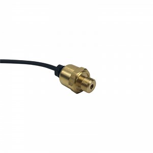 [Hot Item] Customized Ceramic Pressure Transmitter 0-5V 0.5-4.5V Output 250mm Wirie Economic Sensor 304ss Transducer