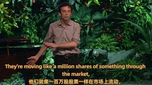 【TED】算法如何塑造我们的世界?