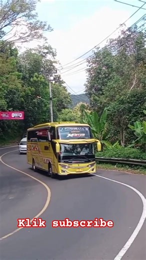 Yang pernah viral bukit berbunga #busartis #basuri #mobilbasuri