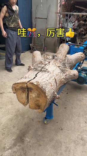 58K views · 322 reactions | Wood cutting machine used #shorts #woodwork #woodcutting #machines #woodworking | West Theodore | Facebook