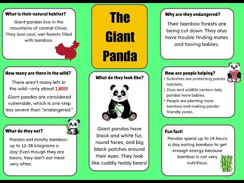 Just2easy Live Lesson - Fact Files – Animal Research and Presentation