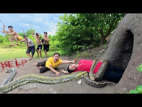 Horrifying! 4 Brave Experts Rescue Tribal Girl from Ferocious Giant Anaconda Attack