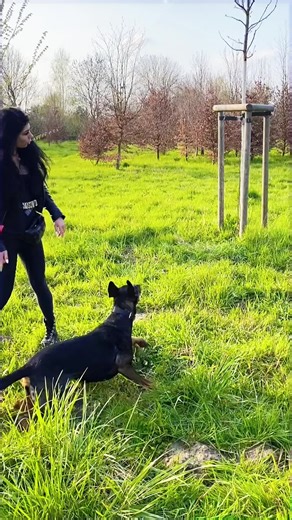 Funny Fairy Tale Sketches for Everyone