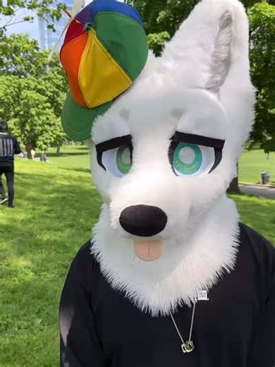 Understanding Furry Fursonas and Fursuits