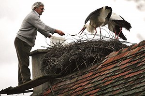 Klepetan and Malena – Croatia’s most Unusual Love Story - Total Croatia