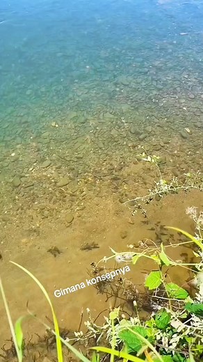 2M views · 5K reactions | Ini gimna konsep nya bosQu Bisa ya ke gituh #fishing #fish #fishinglife #catchandrelease #bassfishing #nature #outdoors #carpfishing #fishingislife #angler #pesca #bass #carp #flyfishing #fisherman #fishingtrip #largemouthbass #trout #bigfish #hunting #saltwaterfishing #photography #pike #angling #fishingdaily #shimano #fishon #angeln #sea | Robi Albari | Facebook