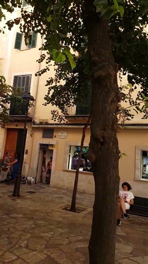 Palma de Mallorca #shorts #mallorcatravel #spainbestplaces #palmademallorca #majorca #mallorca