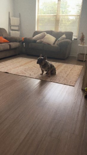 20K views · 294 reactions | Ewww-uhhh | Life With Ania | Facebook