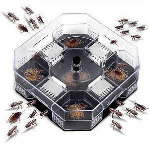 Cockroach Trap Box Reusable Roach Catcher For Indoor Kitchen