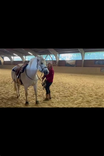 Entwicklung 3 Monate vom Problem Pferd zum Verlasspferd #problempferd #buckeln #buckinghorse #pferdetraining #freehorsetraining