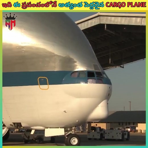 479K views · 10K reactions | The Fact Story on Reels | Facebook