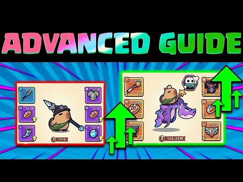 Capybara Go! ADVANCED Beginner GUIDE - Global Release
