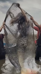 13M views · 47K reactions | Fisherman Shocked After Accidentally Catching a Real Mermaid in His Net #mermaid #mermaids | Most Amazing Top 10 | Facebook